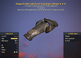 Vanguard's [Sent] Scout Left Arm #11